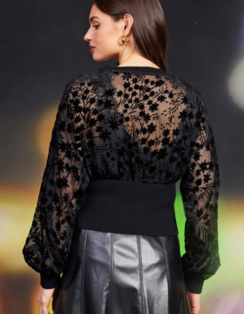 Black Velvet Sheer Contrast Top