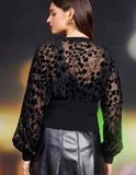 Black Velvet Sheer Contrast Top