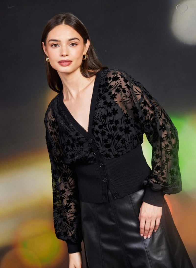 Black Velvet Sheer Contrast Top