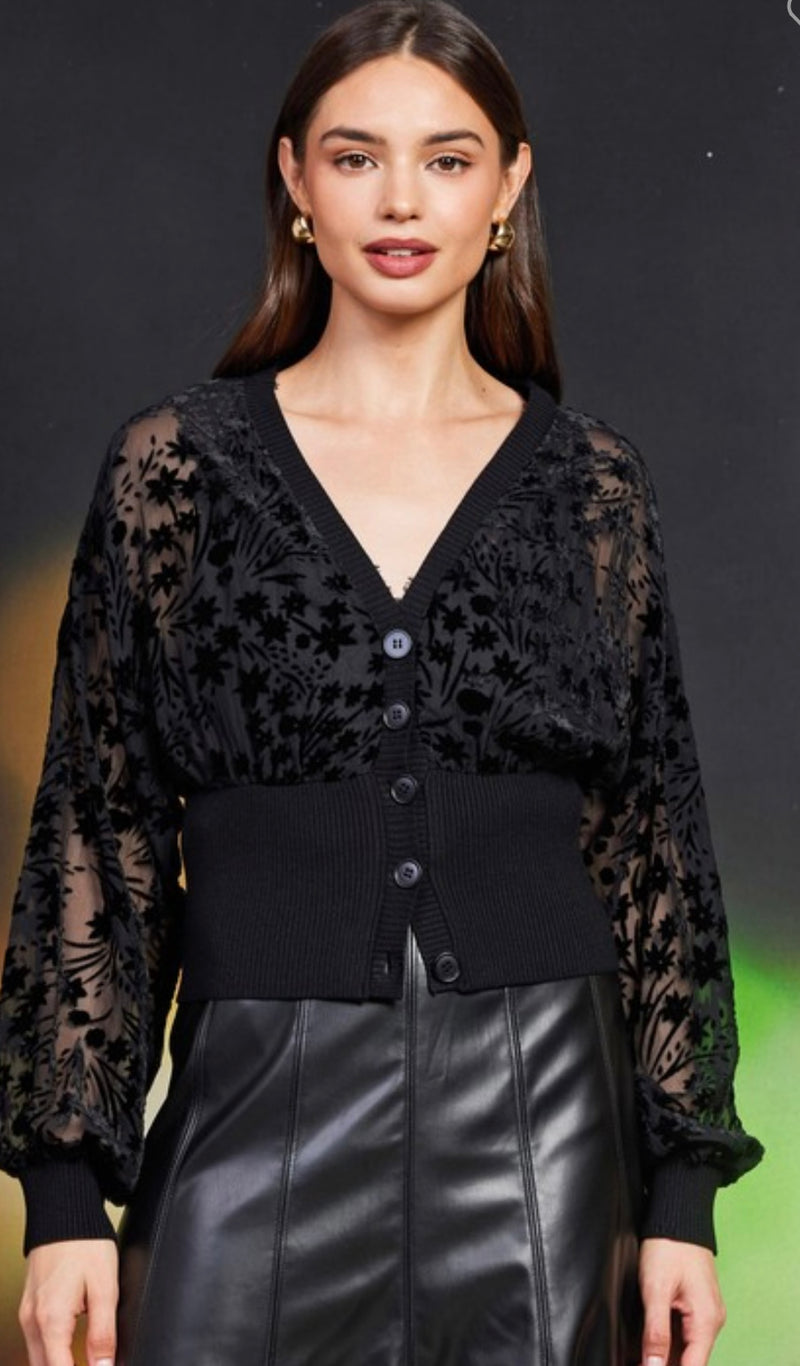 Black Velvet Sheer Contrast Top