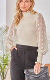 Shimmery High Neck Sheer Sleeve Sweater